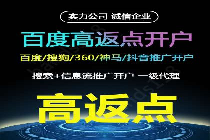 SEM托管服务案例：优化策略与效果展示