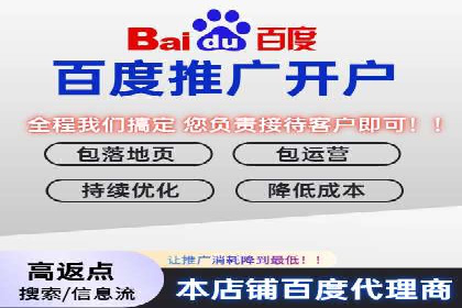 案例分析：打造高效竞价推广策略